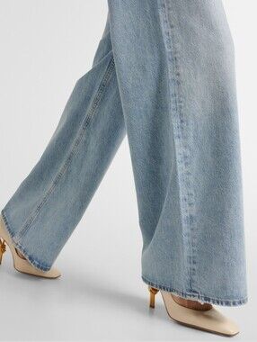 AGOLDE Dame High-Rise Wide-Leg Jeans in Light Blue